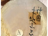 Takahashi Hyoijiro (高橋　兵治郎)  Takahashi Hyōjiro (not Heijirō) (1898-1974) 高橋兵治郎（たかはしひょうじろう：1898～1974. Photo has had pricing tag removed.