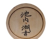 Shione Ikeuchi (池内潮音)