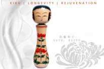 Sato Kazuo 12 (佐藤一夫) DOB 1936 Master Sato, Yonezo. Chrysanthemum (kiku) flower design.