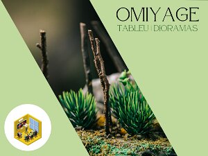Tableau | Diorama's
