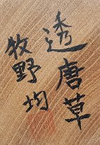 Makino Hitoshi (牧野 均 )