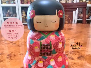 Tomidokoro Chiya